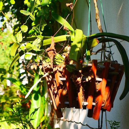 Cua Bien Homestay 하이퐁 외부 사진