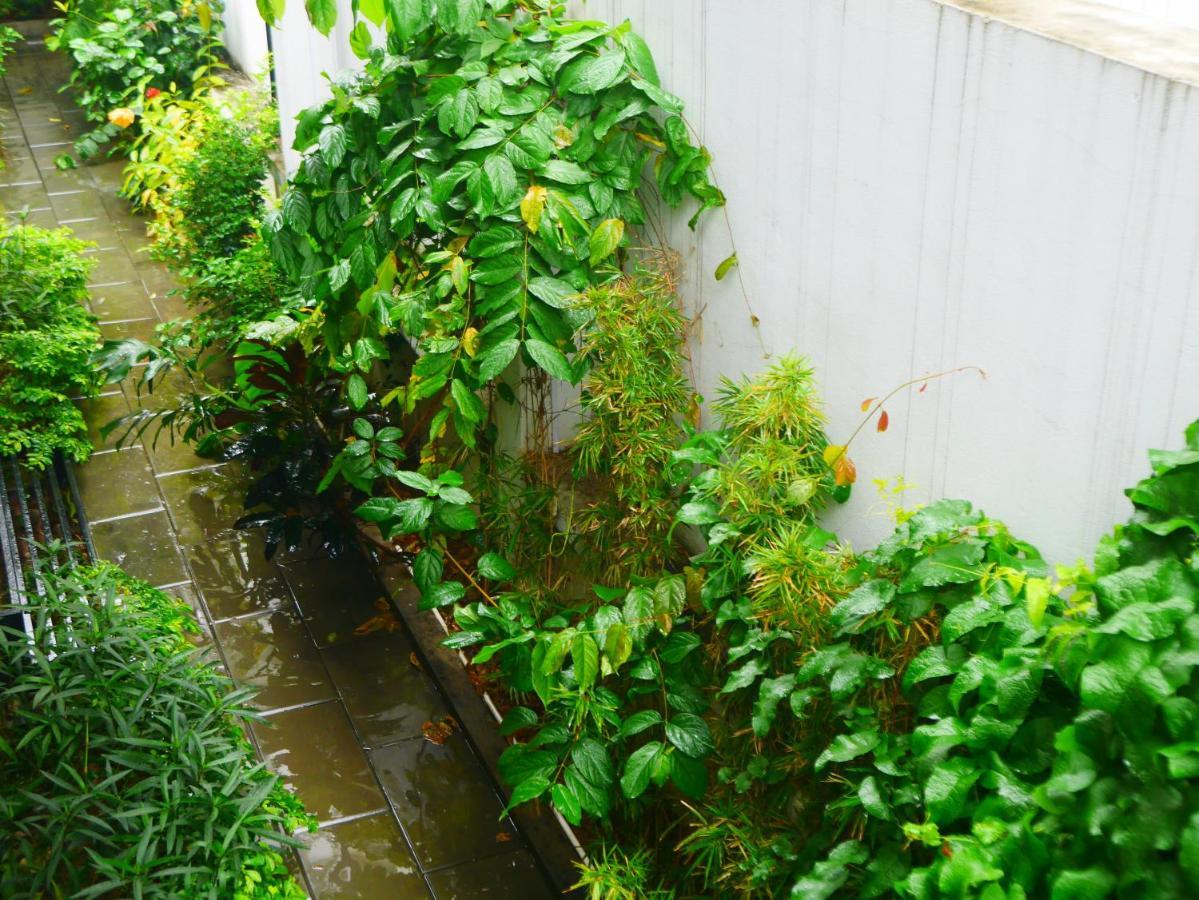 Cua Bien Homestay 하이퐁 외부 사진