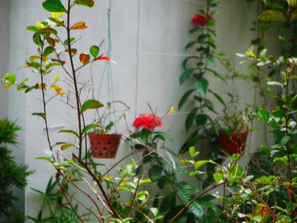 Cua Bien Homestay 하이퐁 외부 사진