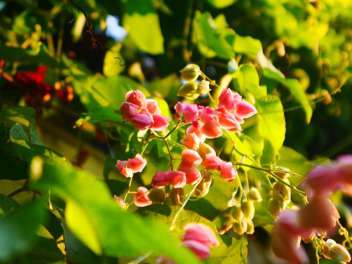 Cua Bien Homestay 하이퐁 외부 사진