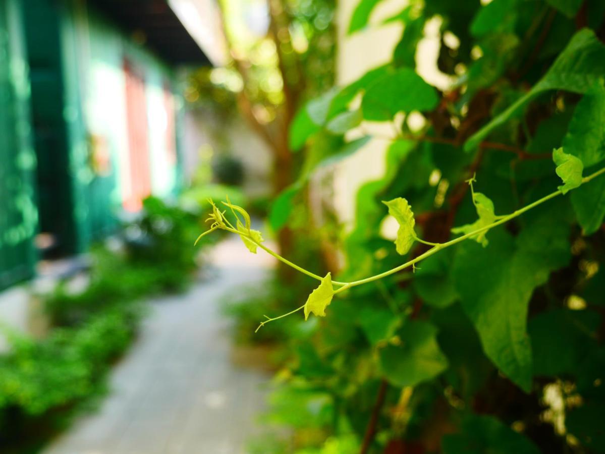 Cua Bien Homestay 하이퐁 외부 사진