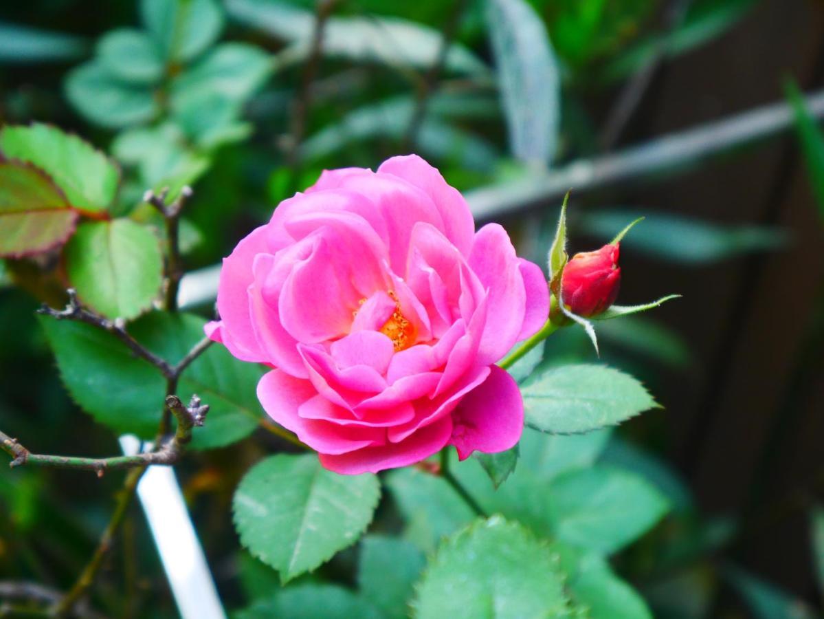 Cua Bien Homestay 하이퐁 외부 사진