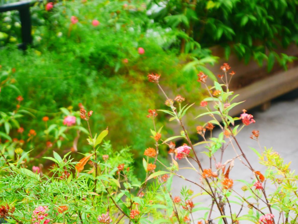 Cua Bien Homestay 하이퐁 외부 사진