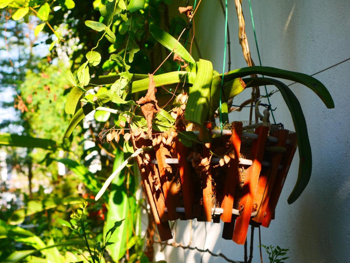 Cua Bien Homestay 하이퐁 외부 사진